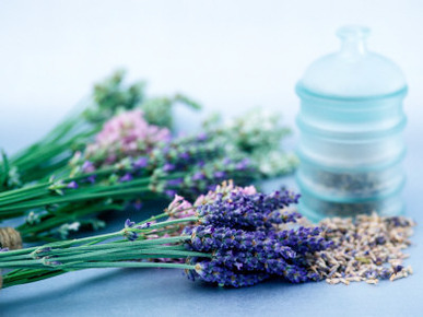 Cut Lavender, Dried Lavender & Glass Pot