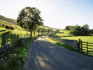 Countryside in Langstrothdale, Yorkshire Dales National Park, Yorkshire, England, United Kingdom