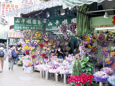 Flower Market, Mong Kok, Kowloon, Hong Kong, China